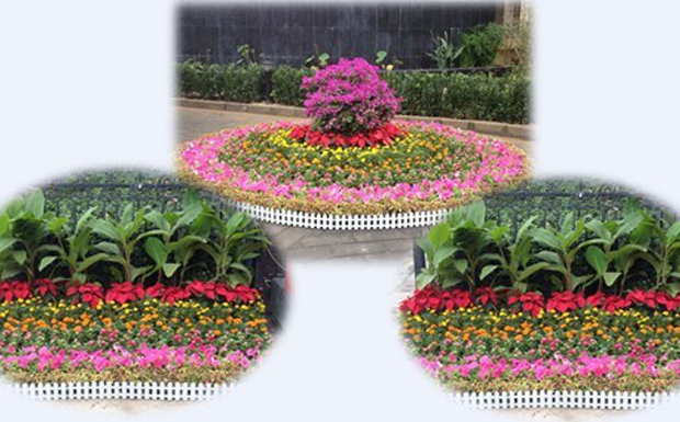 振興華龍人喜迎中秋、國慶雙節(jié)